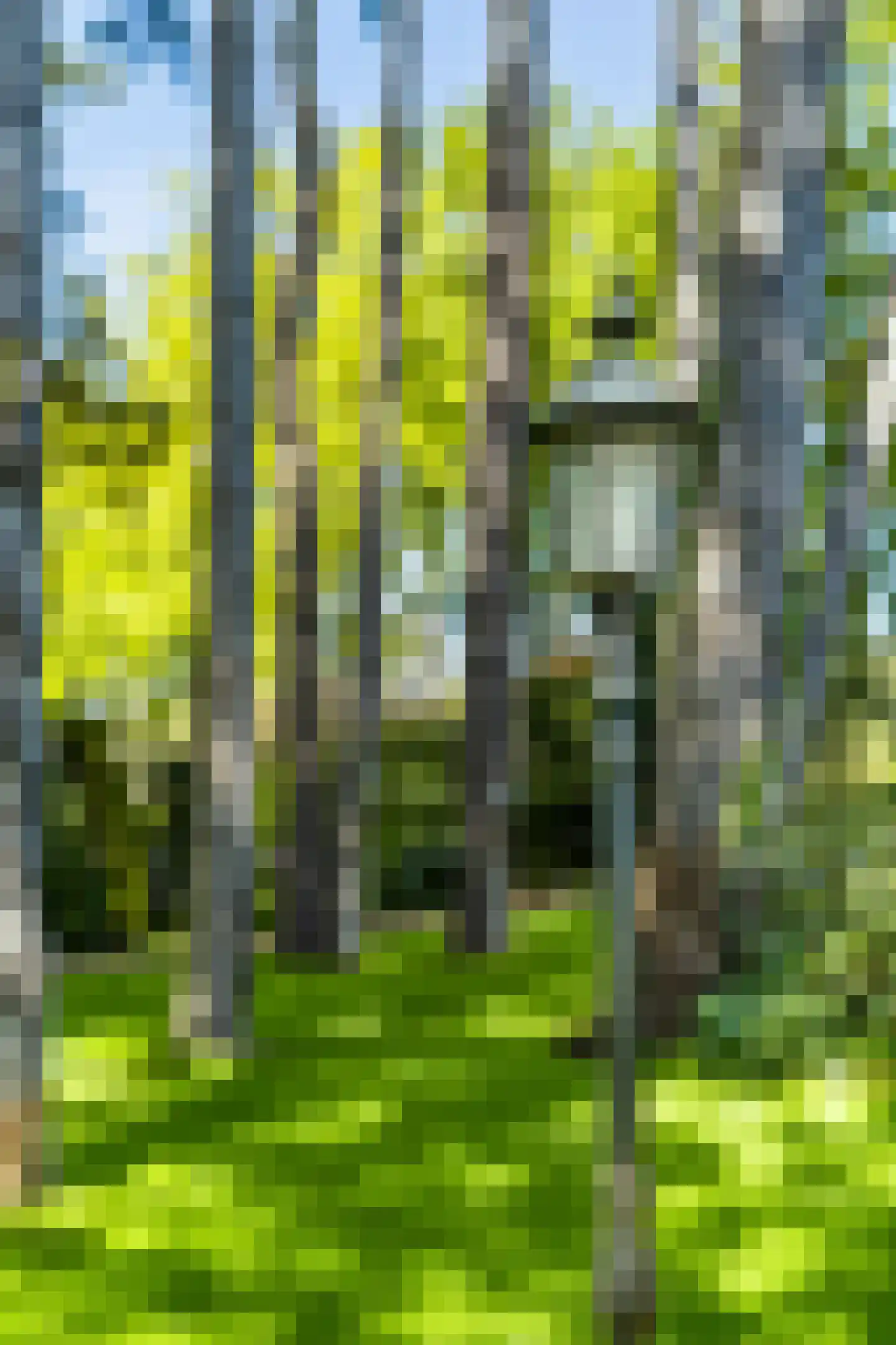 Hazelaan 1 Wassenaar thumbnail 79