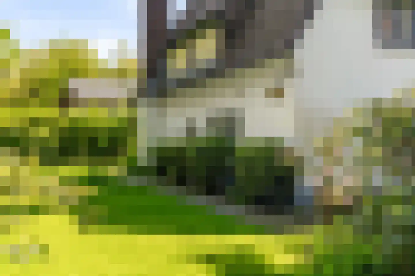Hazelaan 1 Wassenaar thumbnail 8