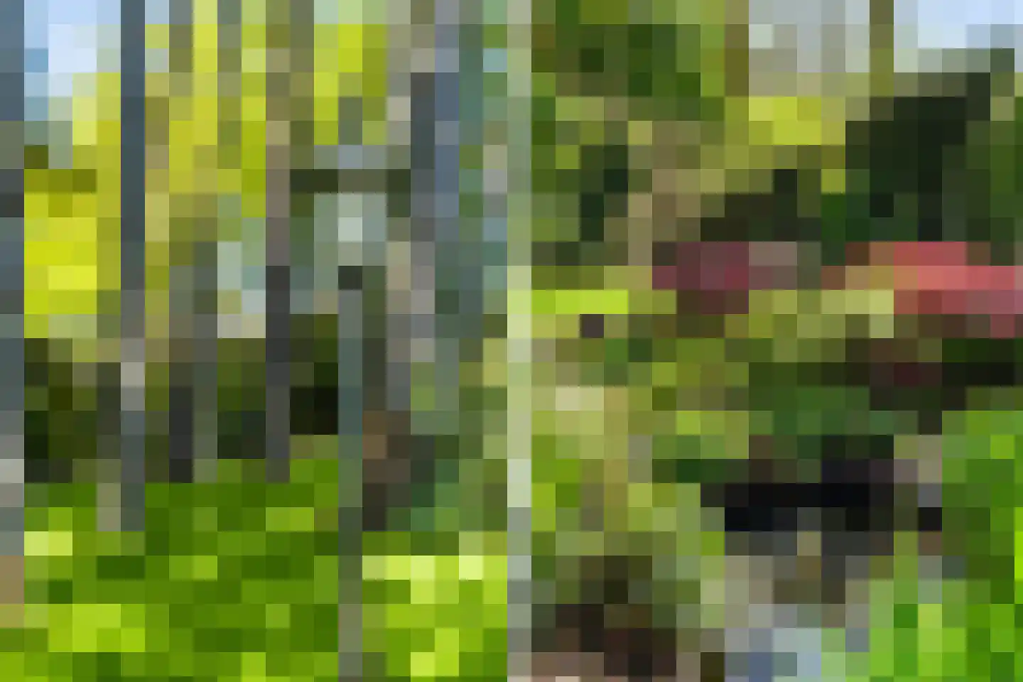 Hazelaan 1 Wassenaar thumbnail 80