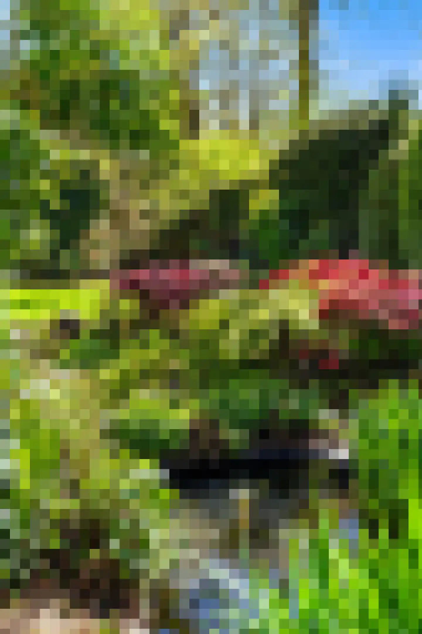 Hazelaan 1 Wassenaar thumbnail 81