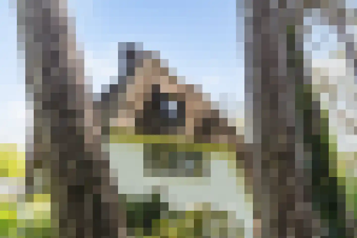 Hazelaan 1 Wassenaar thumbnail 83