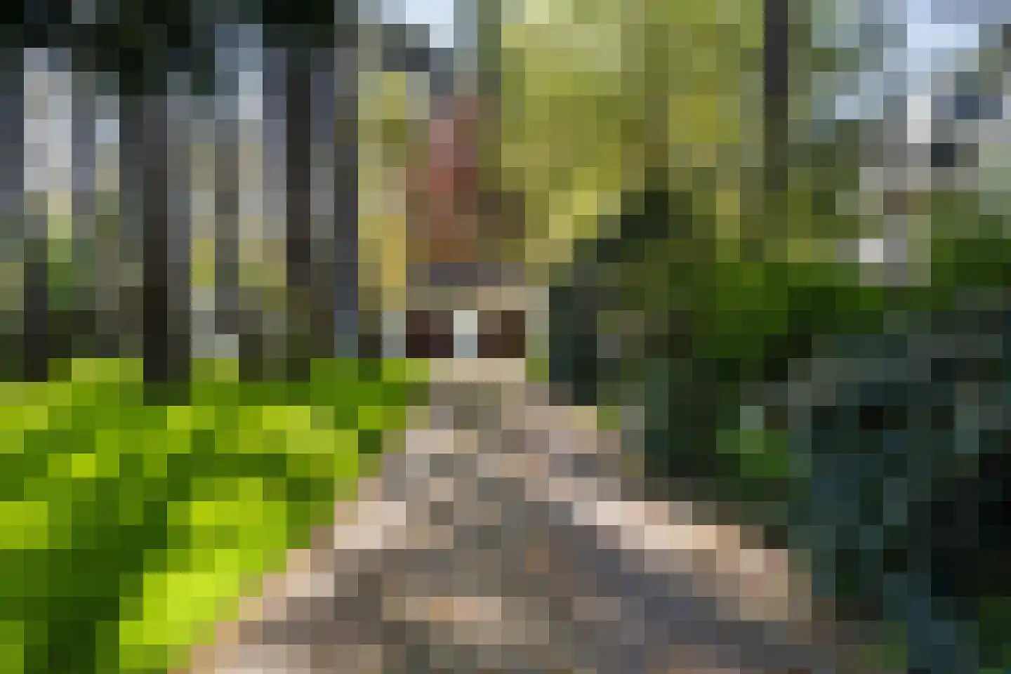 Hazelaan 1 Wassenaar thumbnail 87