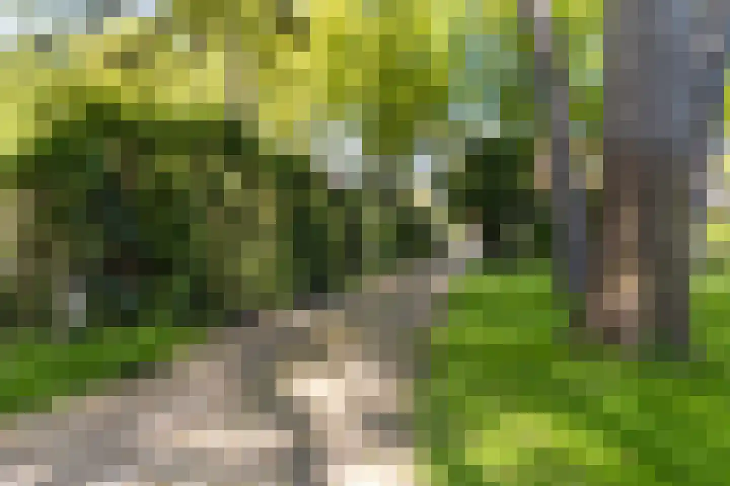 Hazelaan 1 Wassenaar thumbnail 88