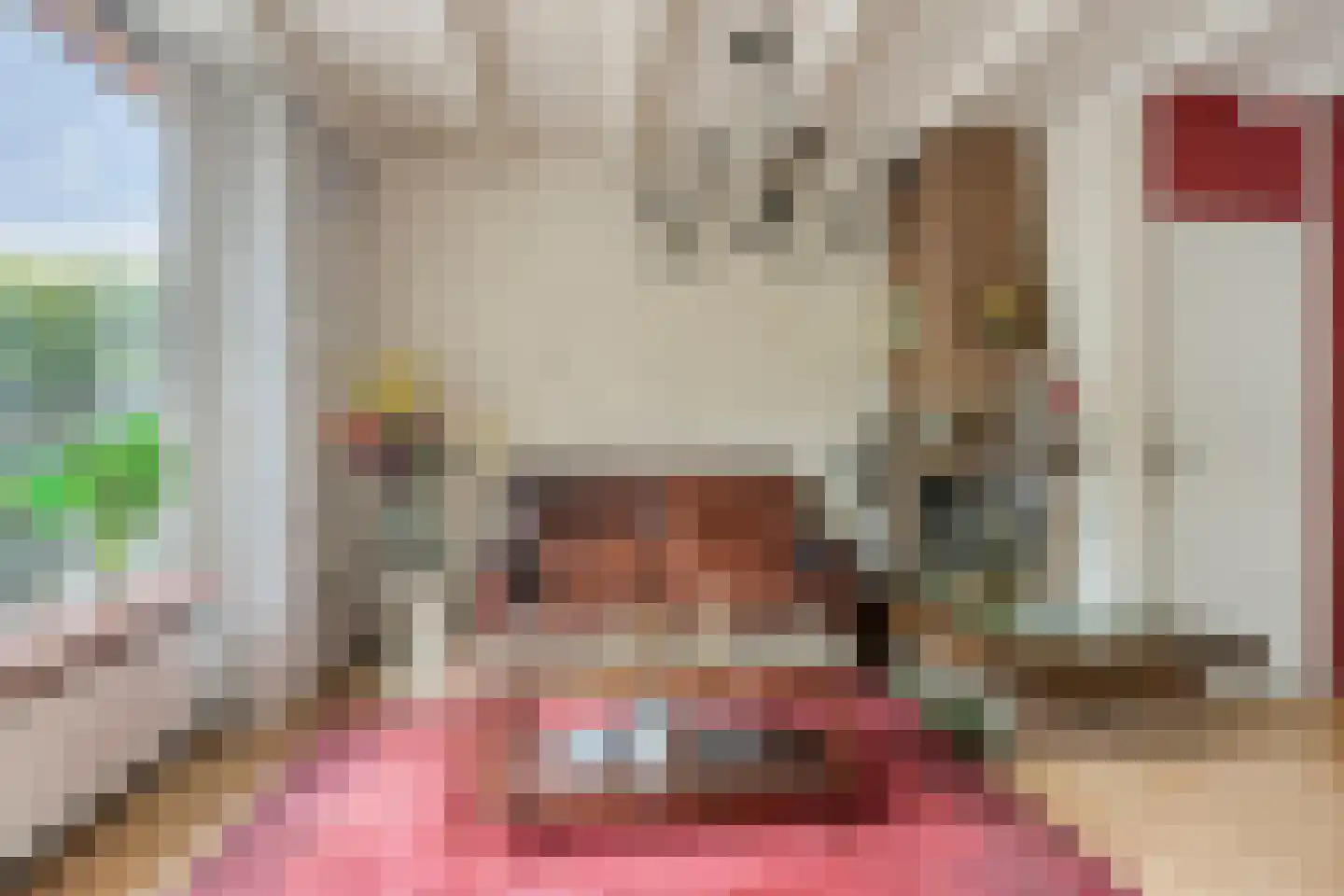 Hazelaar 1 Naaldwijk thumbnail 10