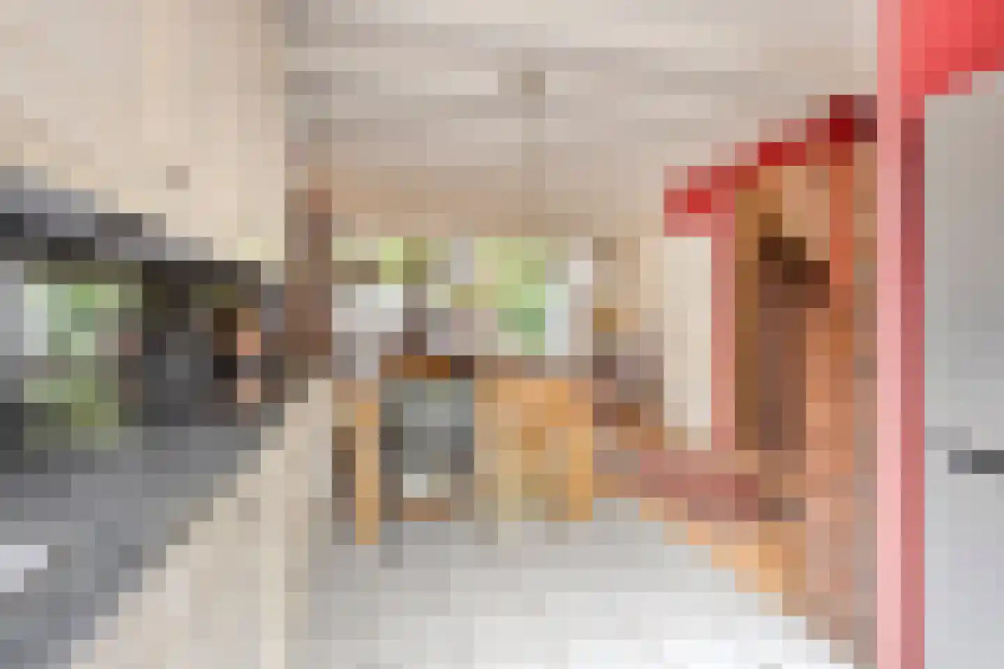 Hazelaar 1 Naaldwijk thumbnail 13