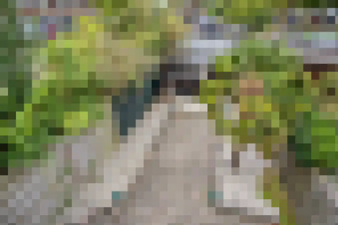 Hazelaar 1 Naaldwijk thumbnail 23