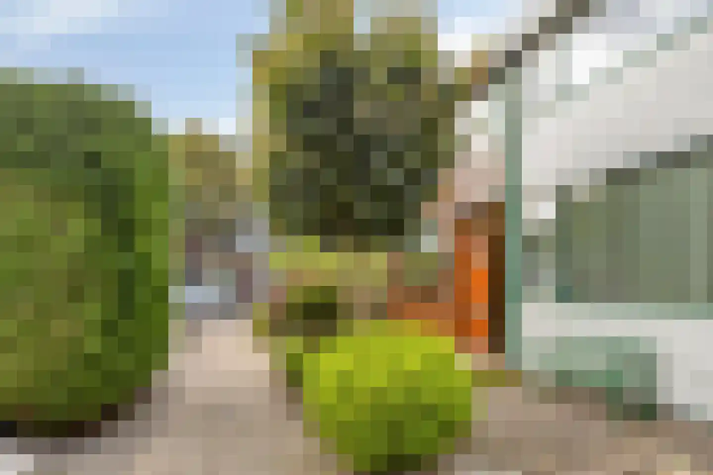 Hazelaar 1 Naaldwijk thumbnail 26