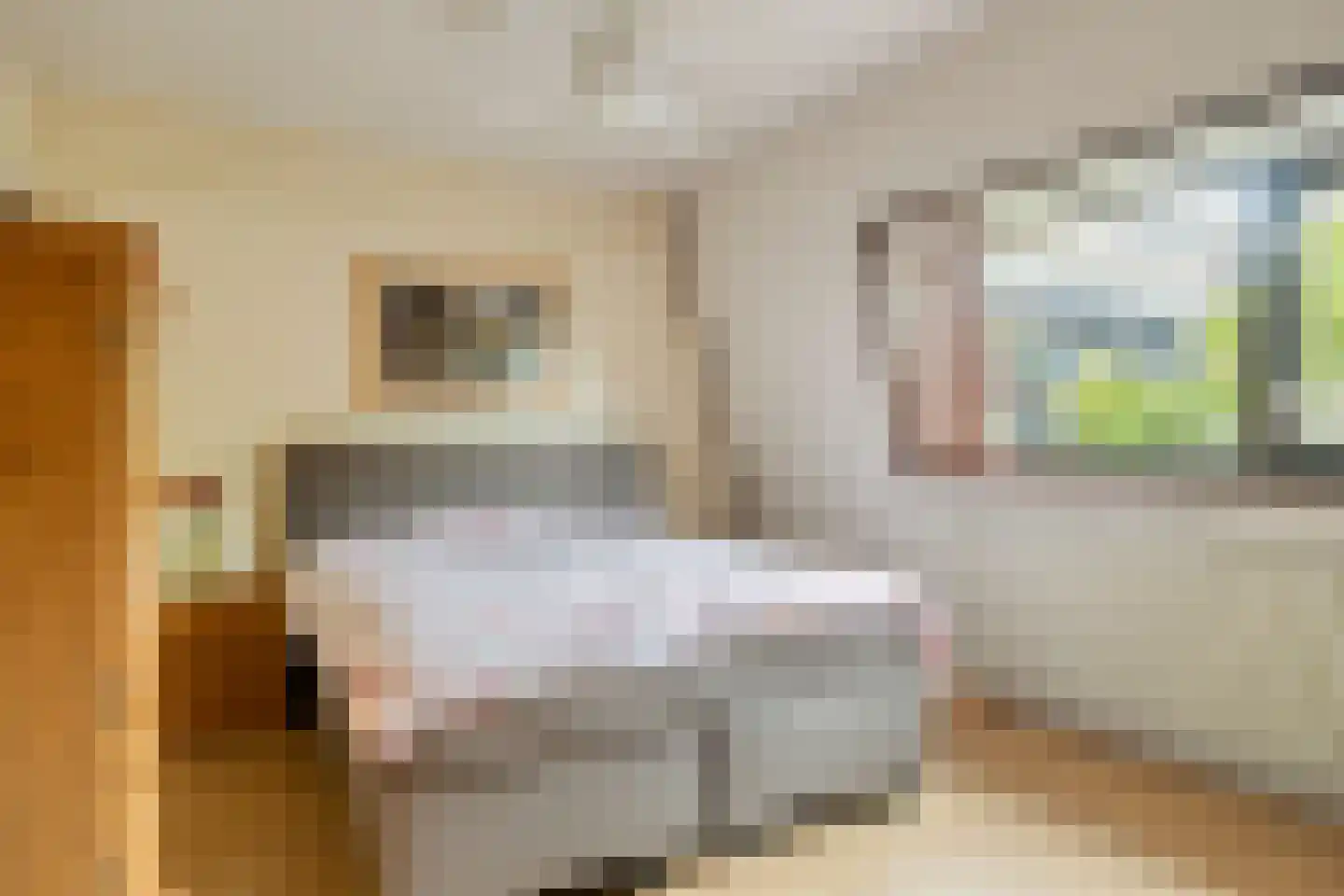 Hazelaar 1 Naaldwijk foto 3