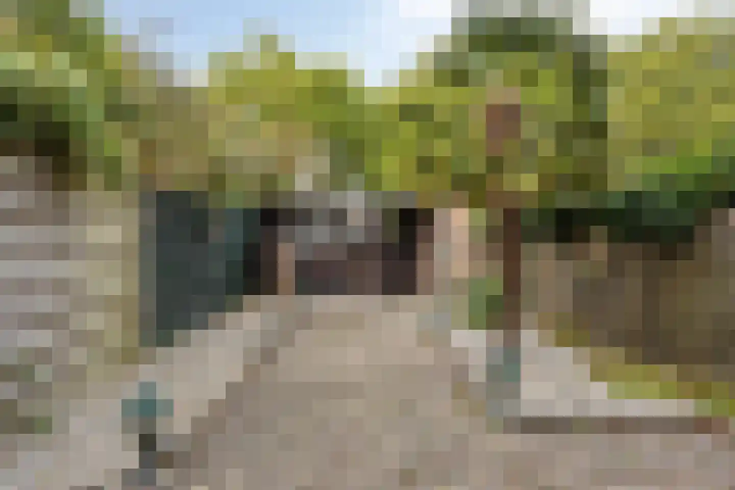 Hazelaar 1 Naaldwijk thumbnail 4
