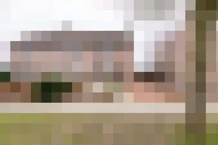 Hazelaar 11 dans Dokkum