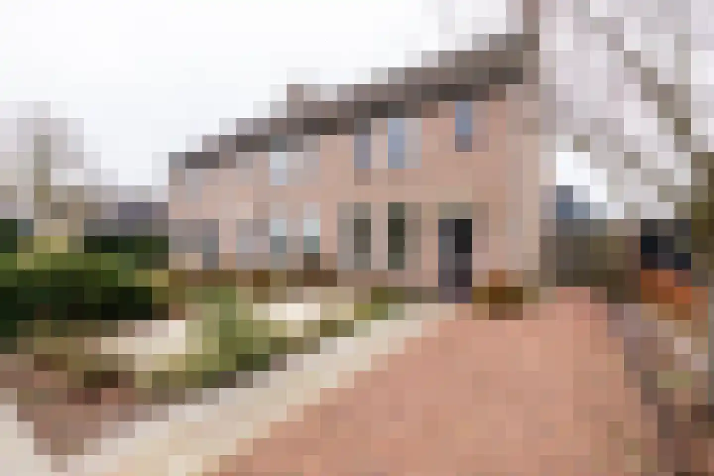 Hazelaar 11 Dokkum