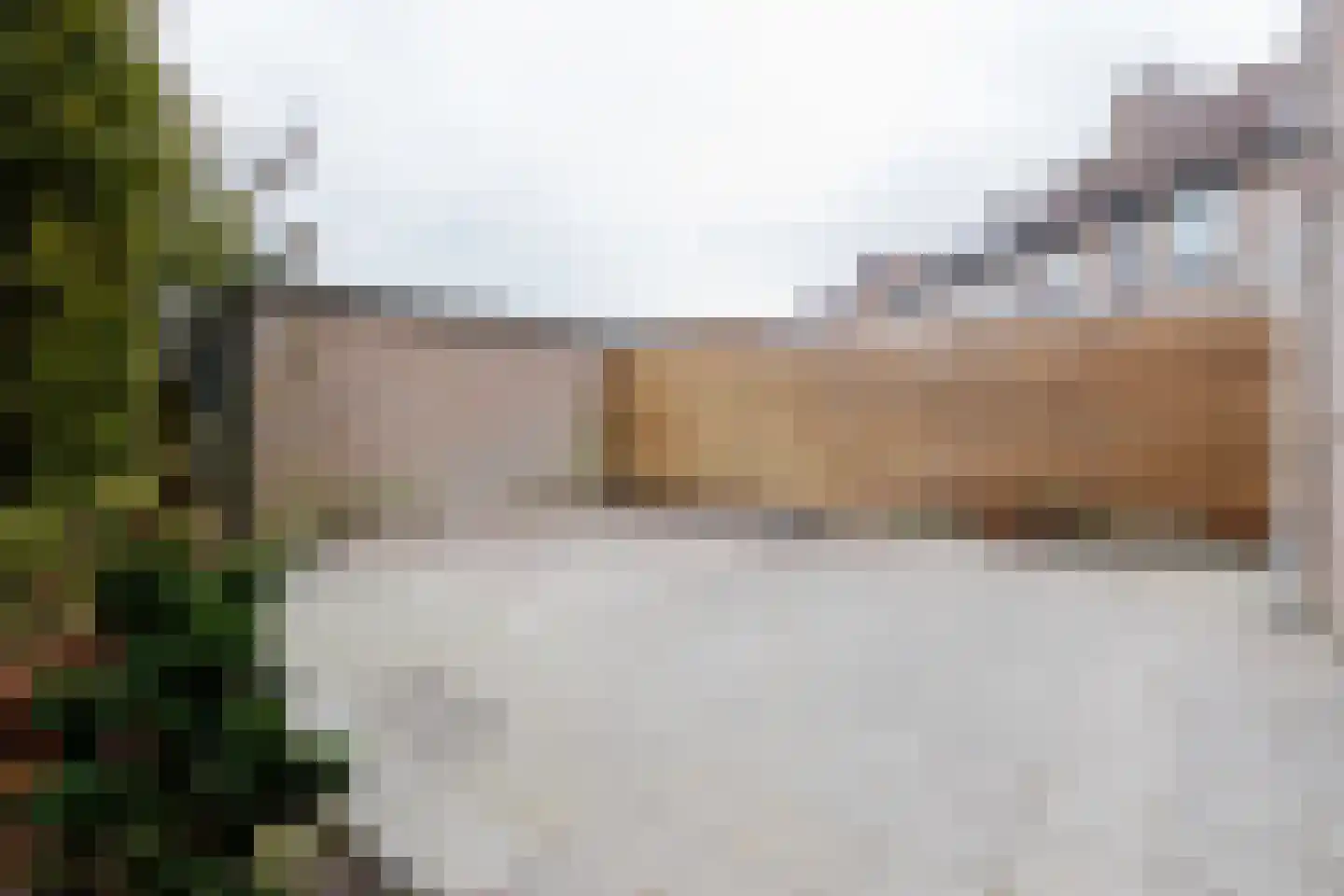 Hazelaar 11 Dokkum thumbnail 17