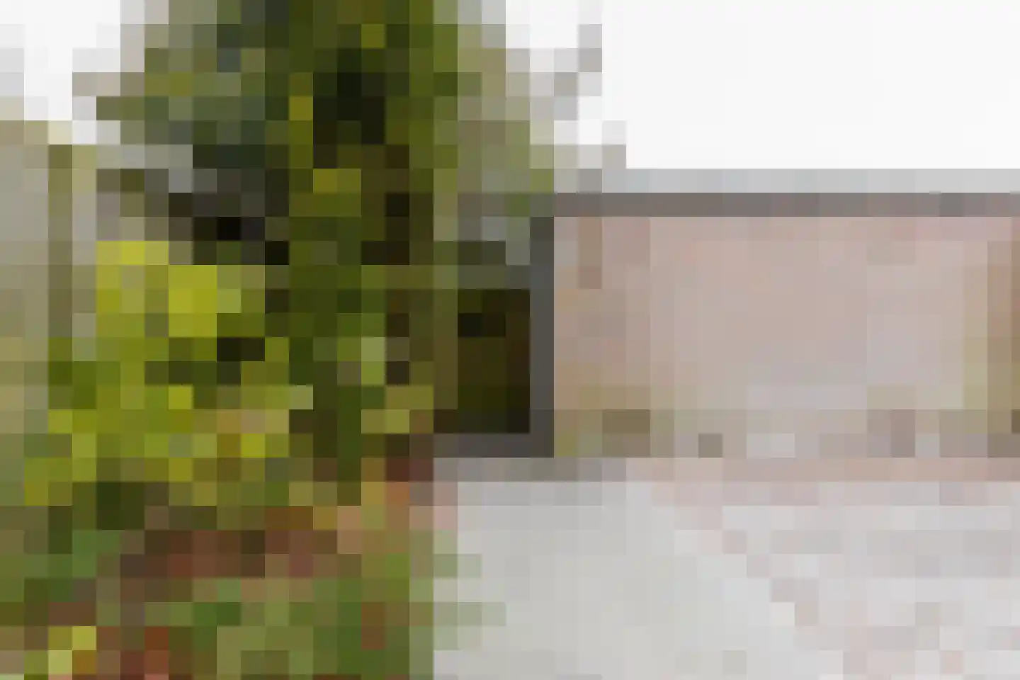 Hazelaar 11 Dokkum thumbnail 18