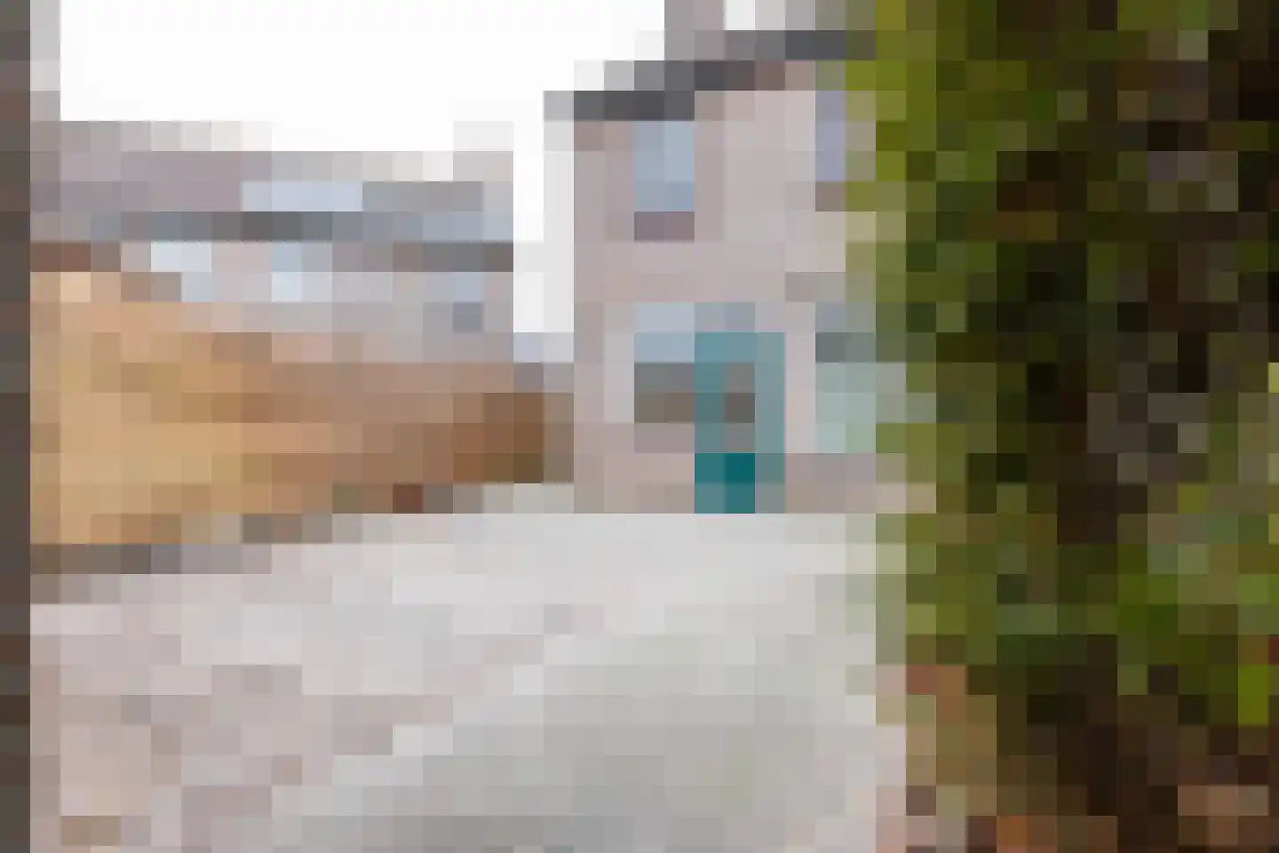 Hazelaar 11 Dokkum thumbnail 19