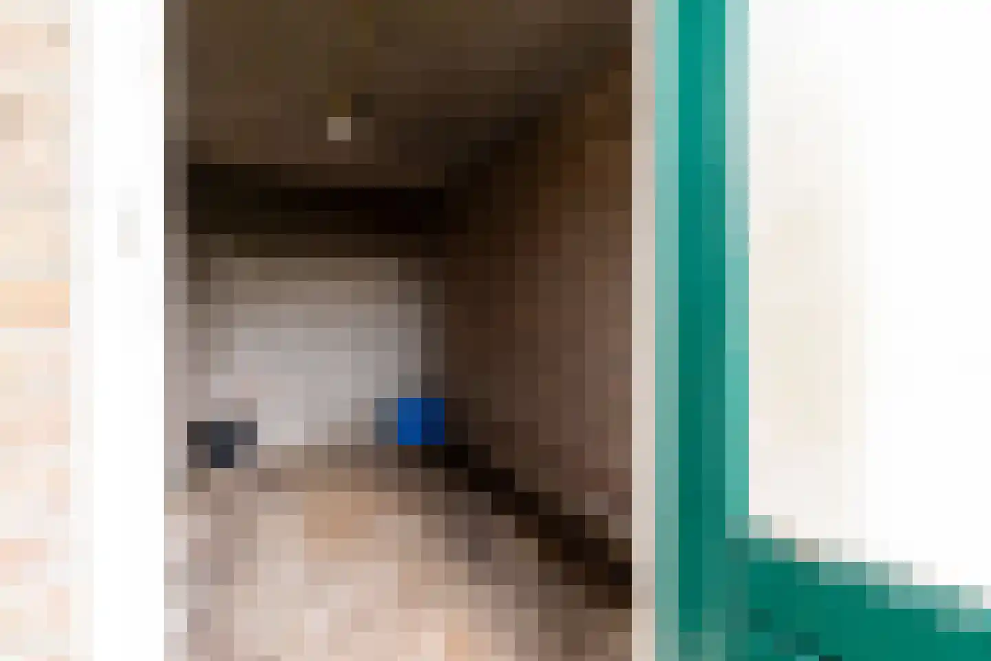 Hazelaar 11 Dokkum thumbnail 20