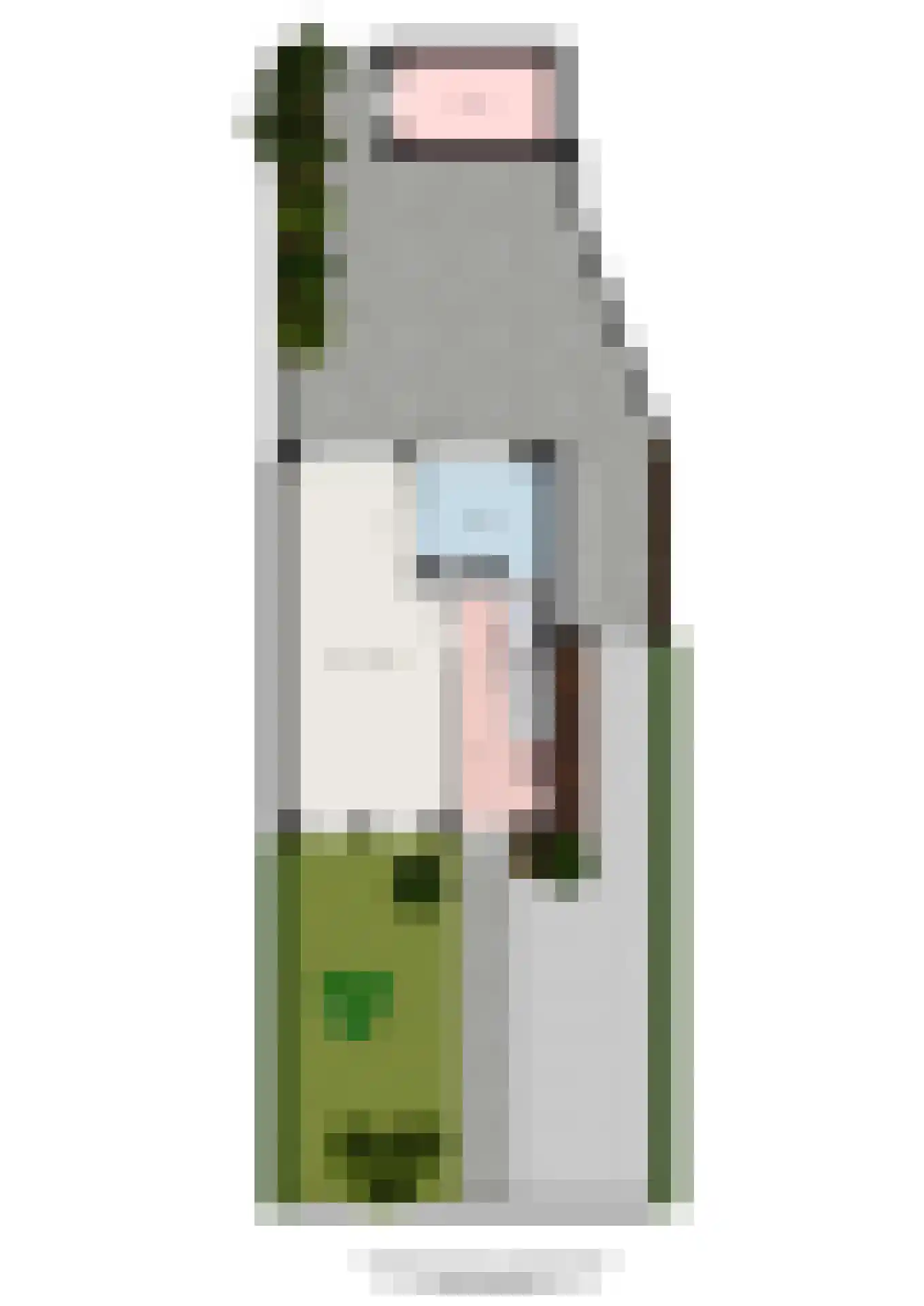 Hazelaar 11 Dokkum thumbnail 39