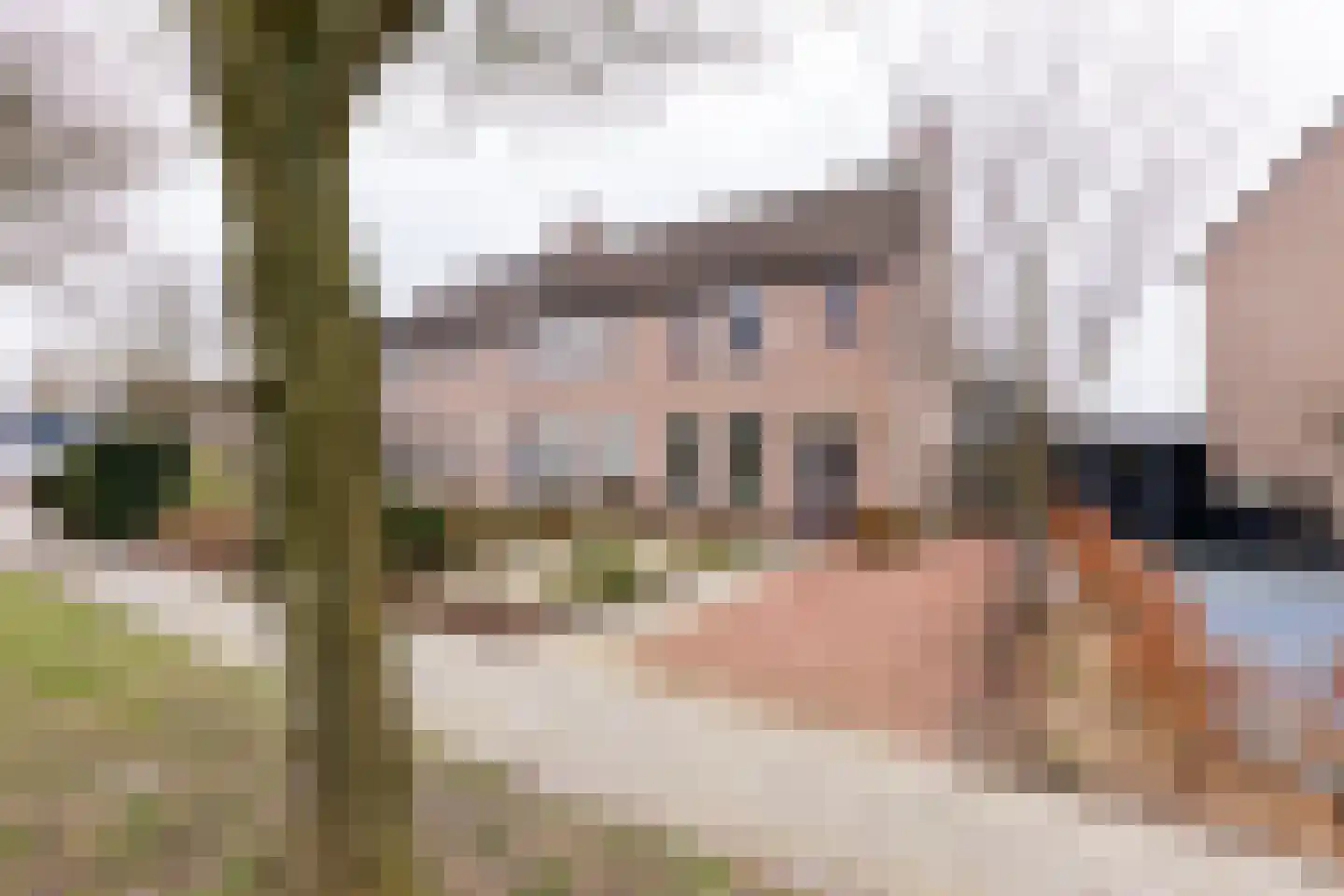 Hazelaar 11 Dokkum thumbnail 4