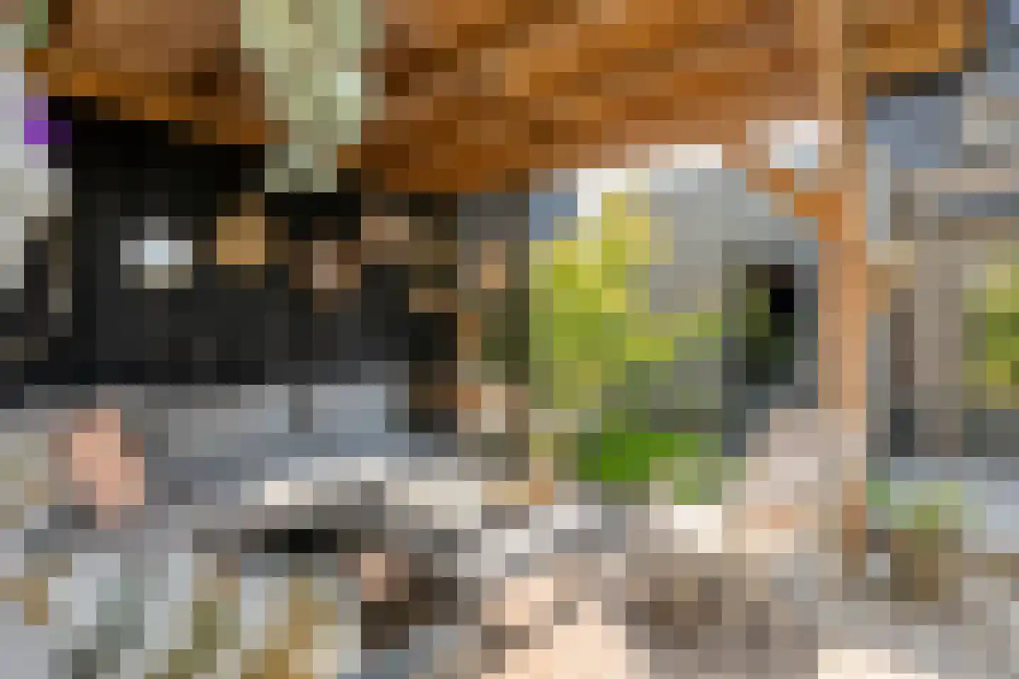 Hazelaar 12 Haaksbergen thumbnail 41