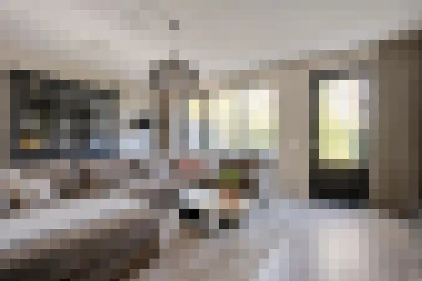 Hazelaar 12 Haaksbergen thumbnail 8