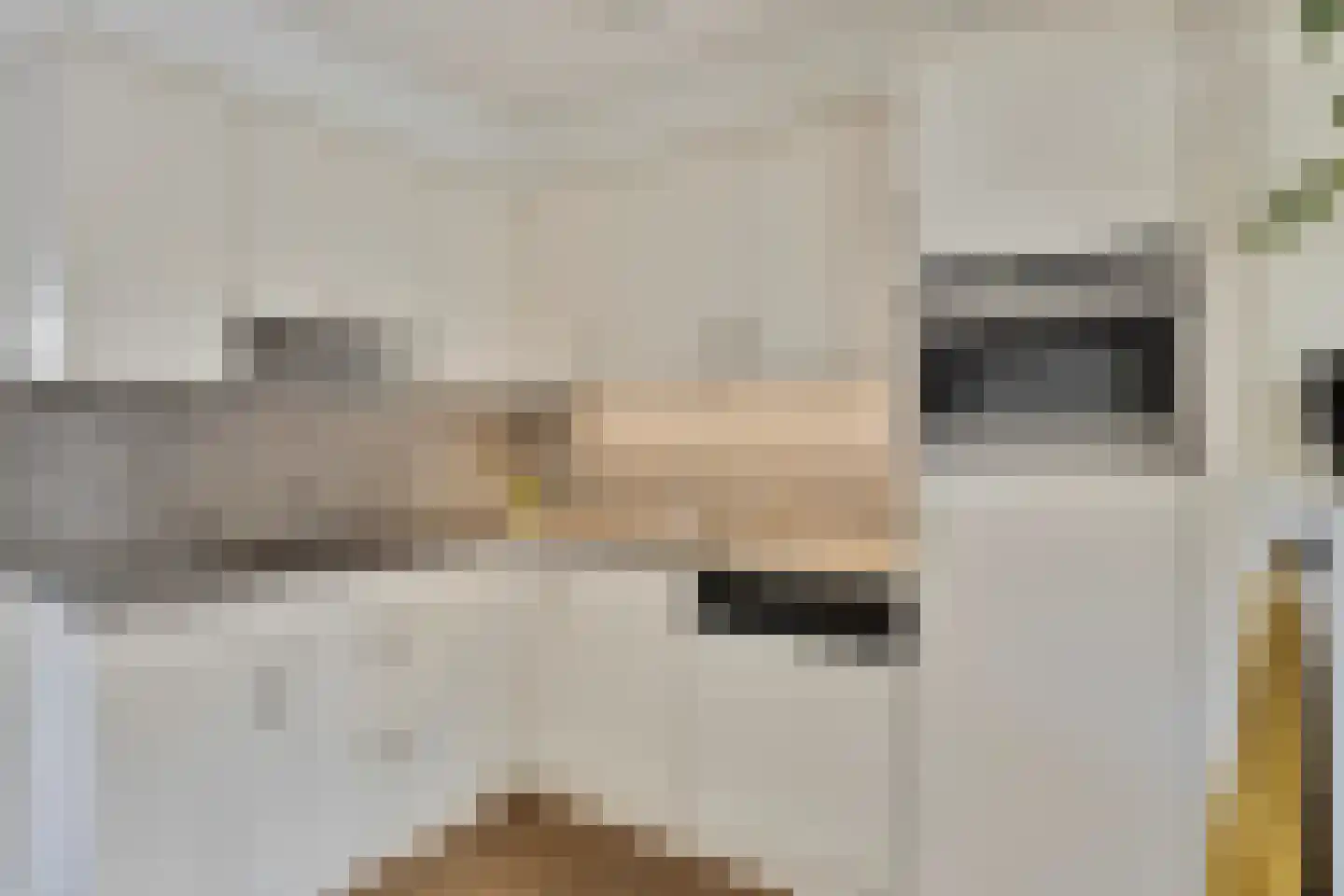 Hazelaar 12 Someren thumbnail 16