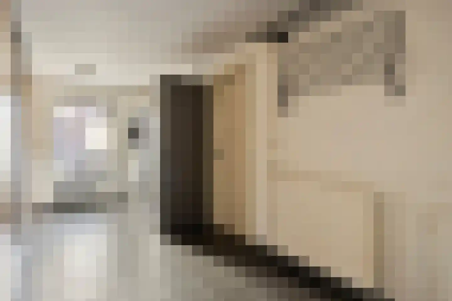 Hazelaar 12 Someren thumbnail 17