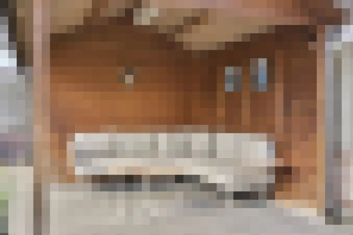 Hazelaar 12 Someren thumbnail 35
