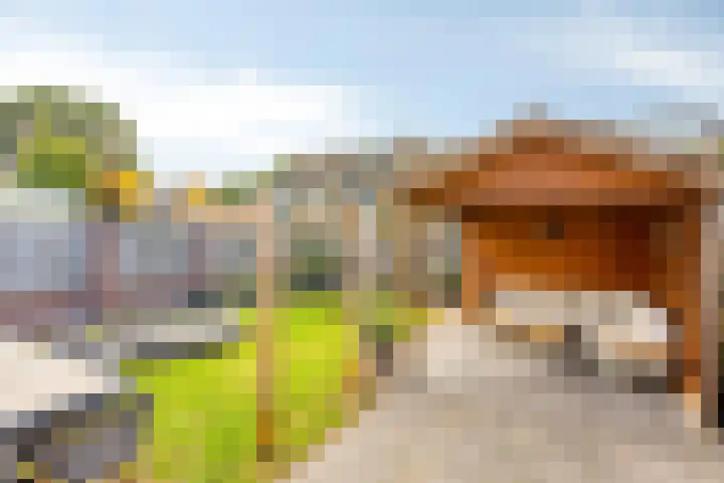 Hazelaar 12 Someren thumbnail 36