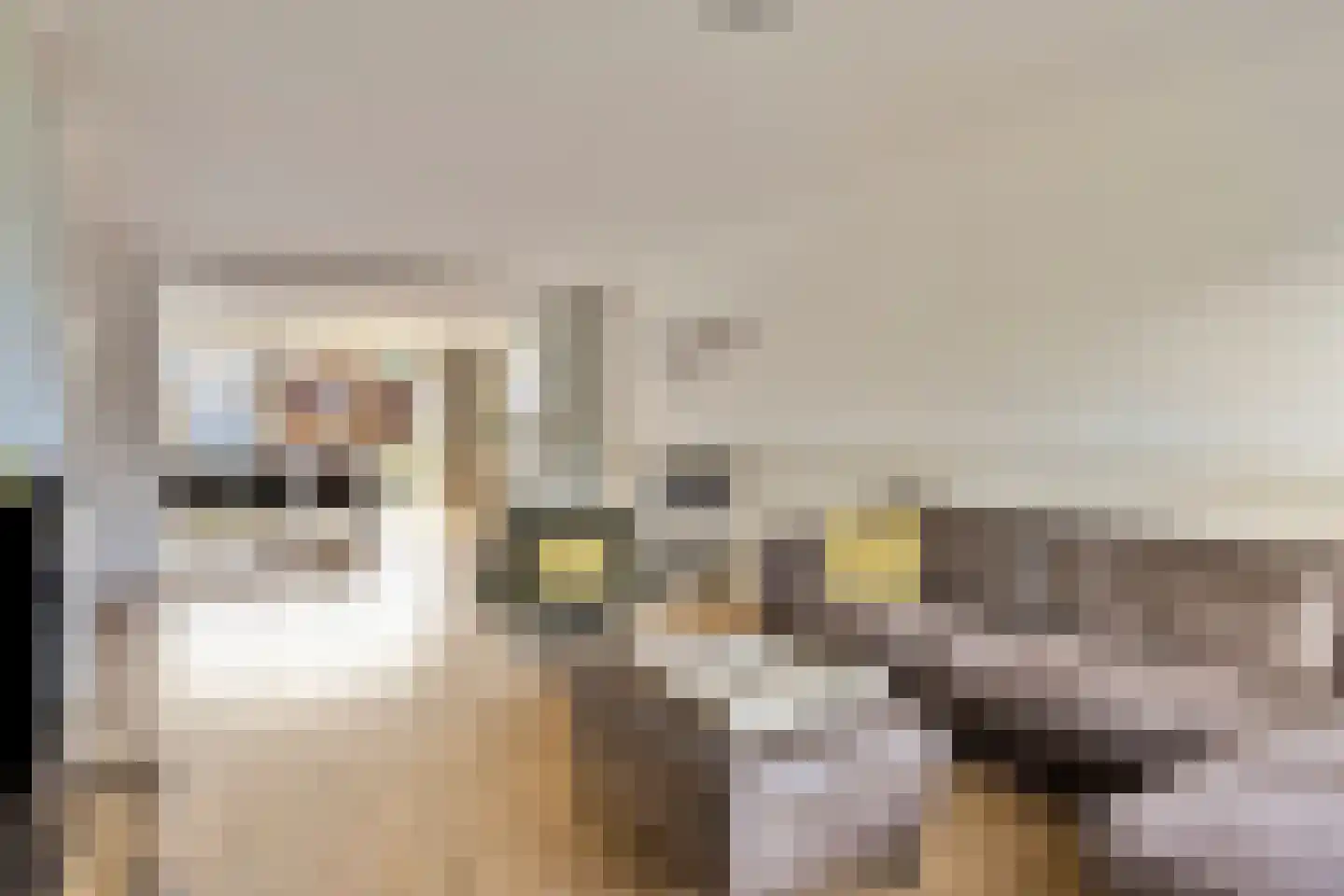 Hazelaar 12 Someren thumbnail 5
