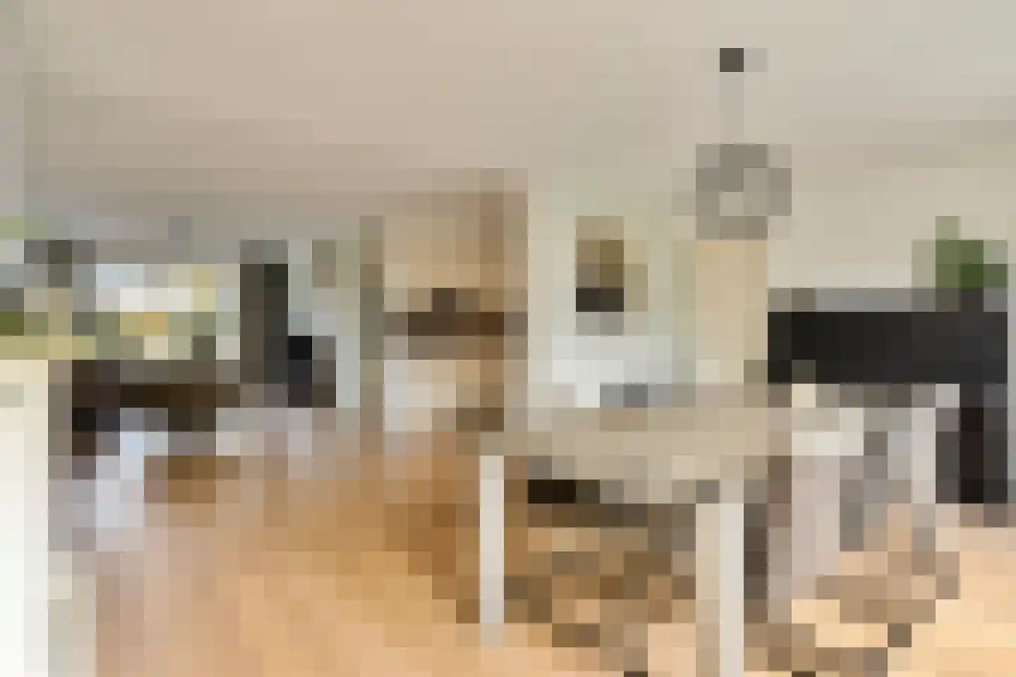 Hazelaar 12 Someren thumbnail 9