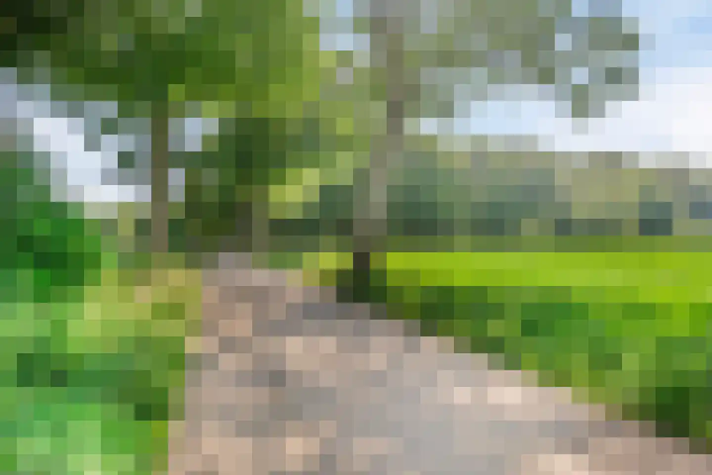 Hazelaar 14 Heino thumbnail 39
