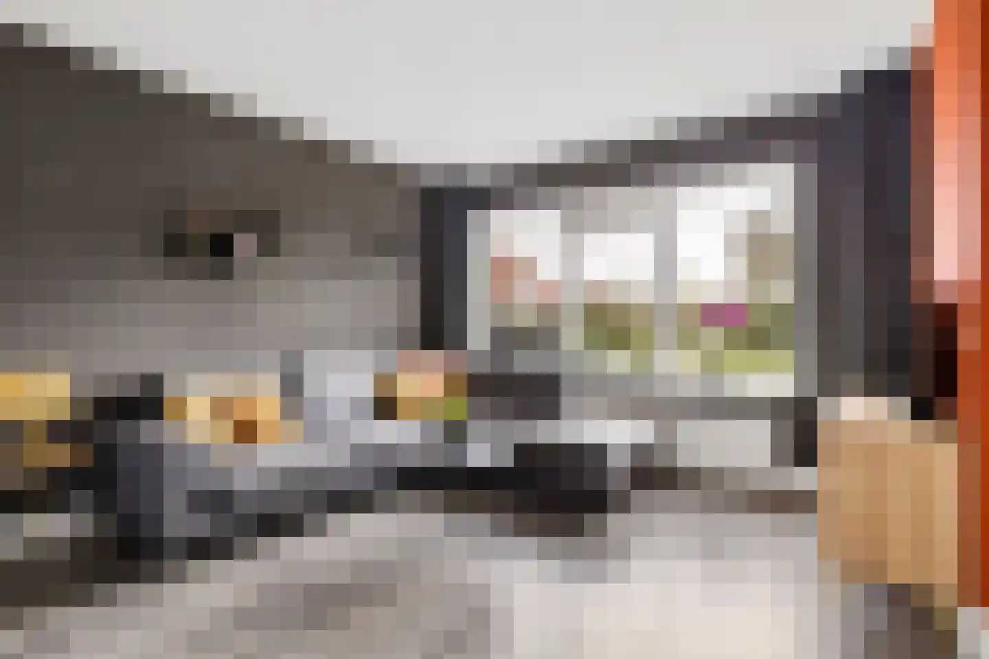 Hazelaar 16 Zeewolde thumbnail 11