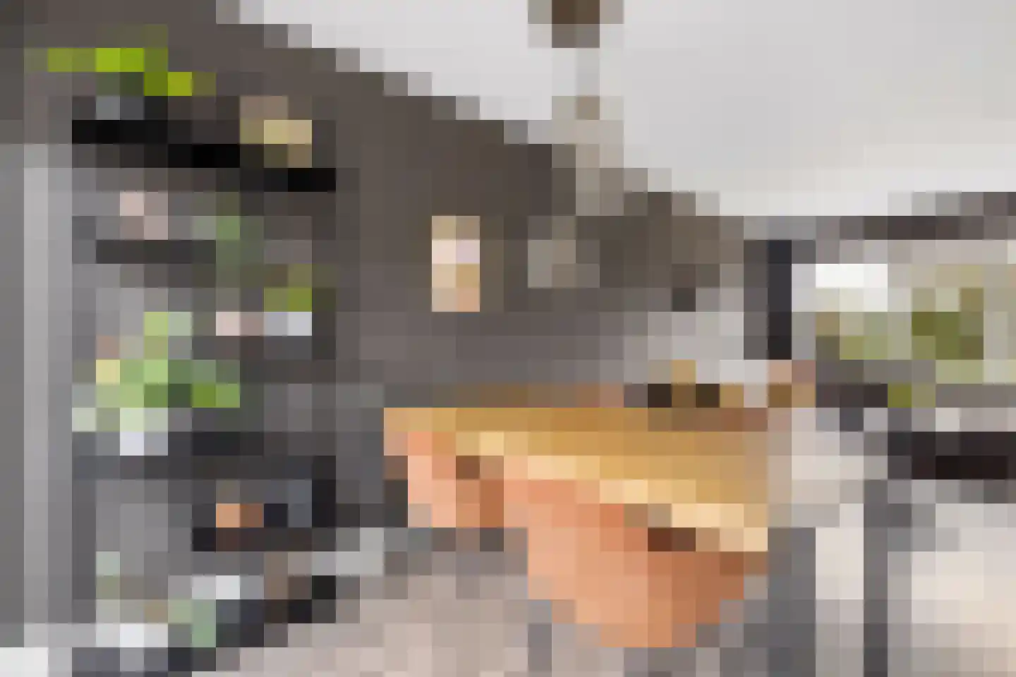 Hazelaar 16 Zeewolde thumbnail 12
