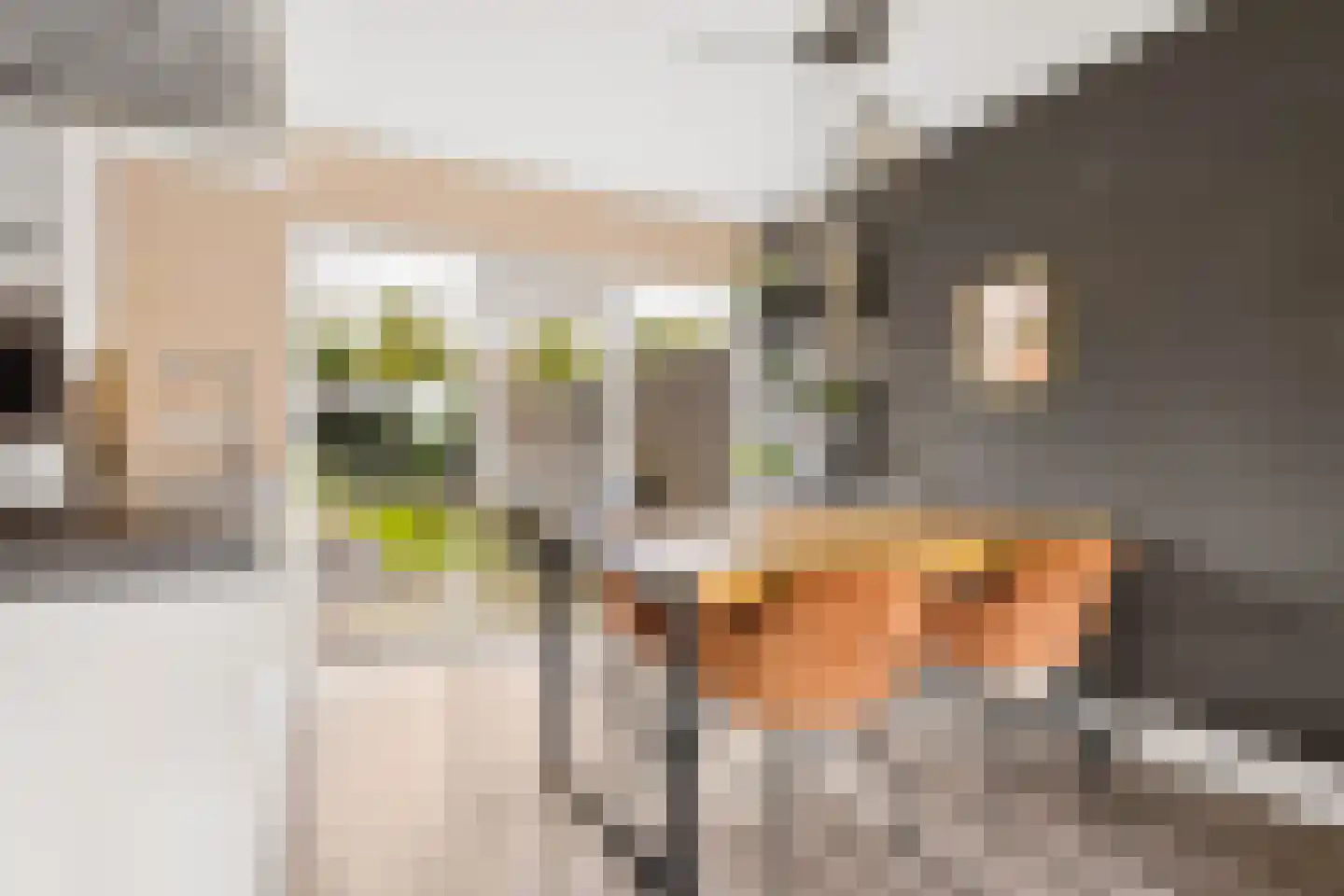 Hazelaar 16 Zeewolde thumbnail 14