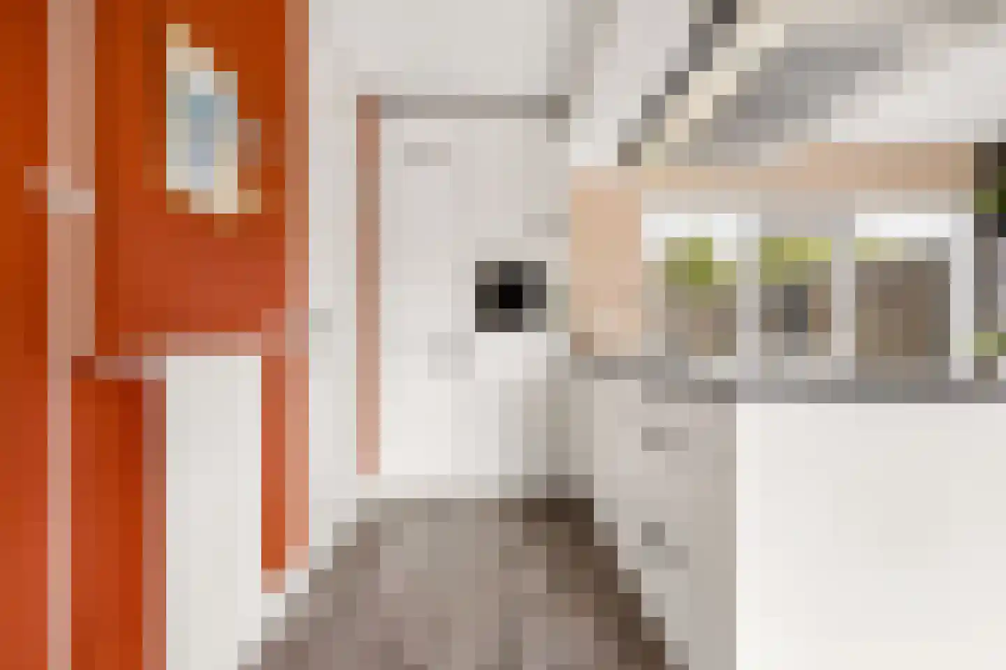 Hazelaar 16 Zeewolde thumbnail 16