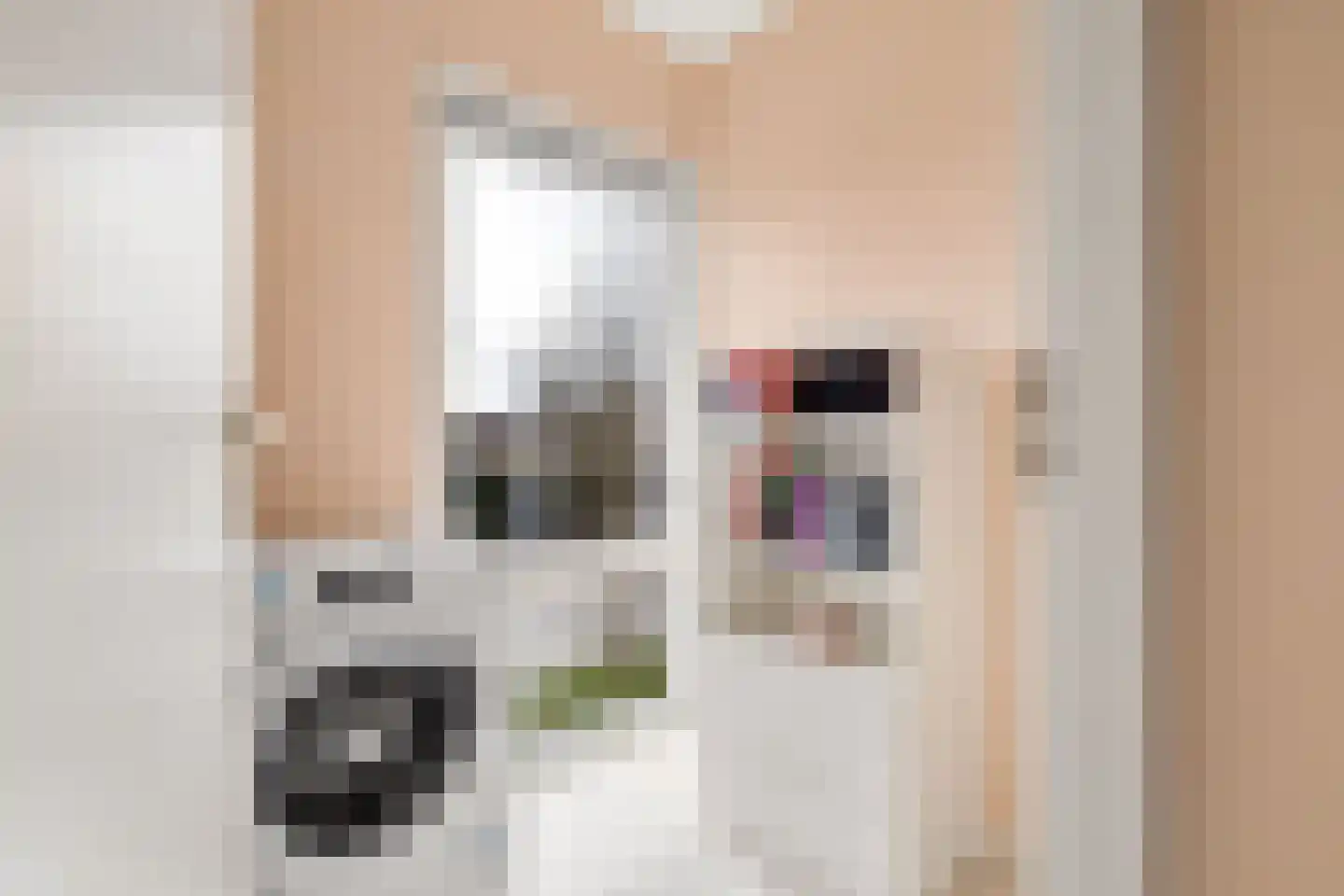 Hazelaar 16 Zeewolde thumbnail 30