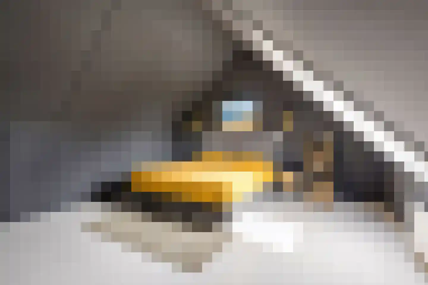 Hazelaar 16 Zeewolde thumbnail 32