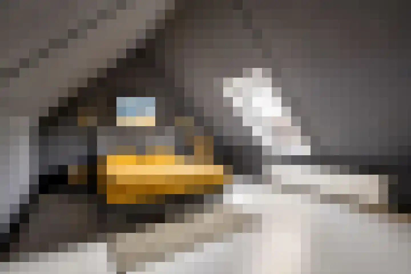 Hazelaar 16 Zeewolde thumbnail 33