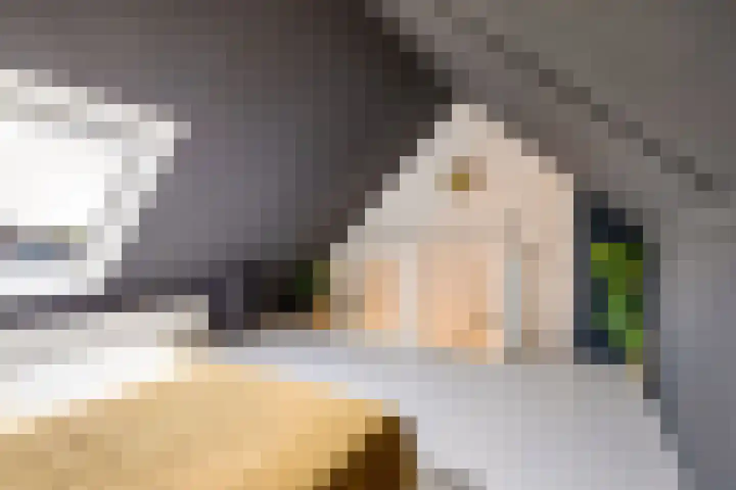 Hazelaar 16 Zeewolde thumbnail 34