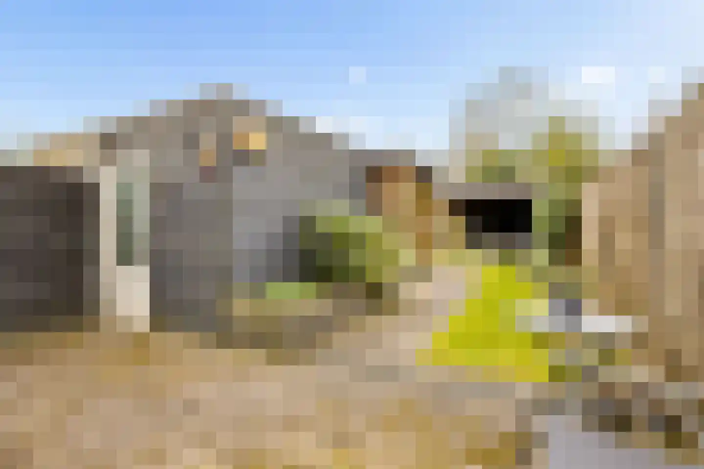 Hazelaar 16 Zeewolde thumbnail 36
