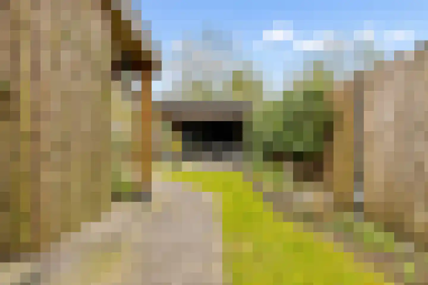 Hazelaar 16 Zeewolde thumbnail 37