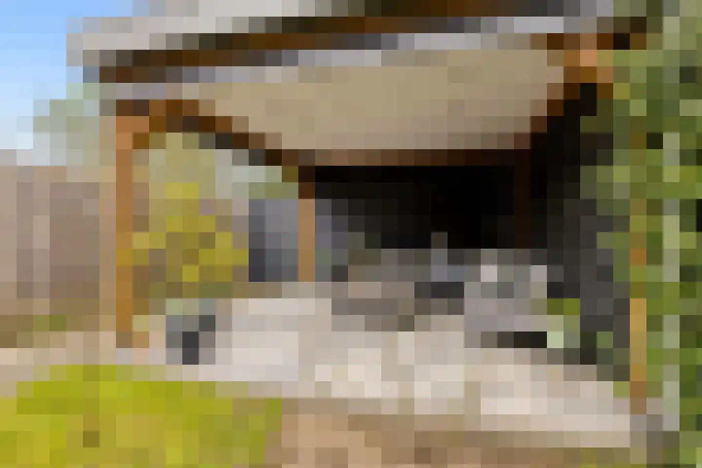 Hazelaar 16 Zeewolde thumbnail 40