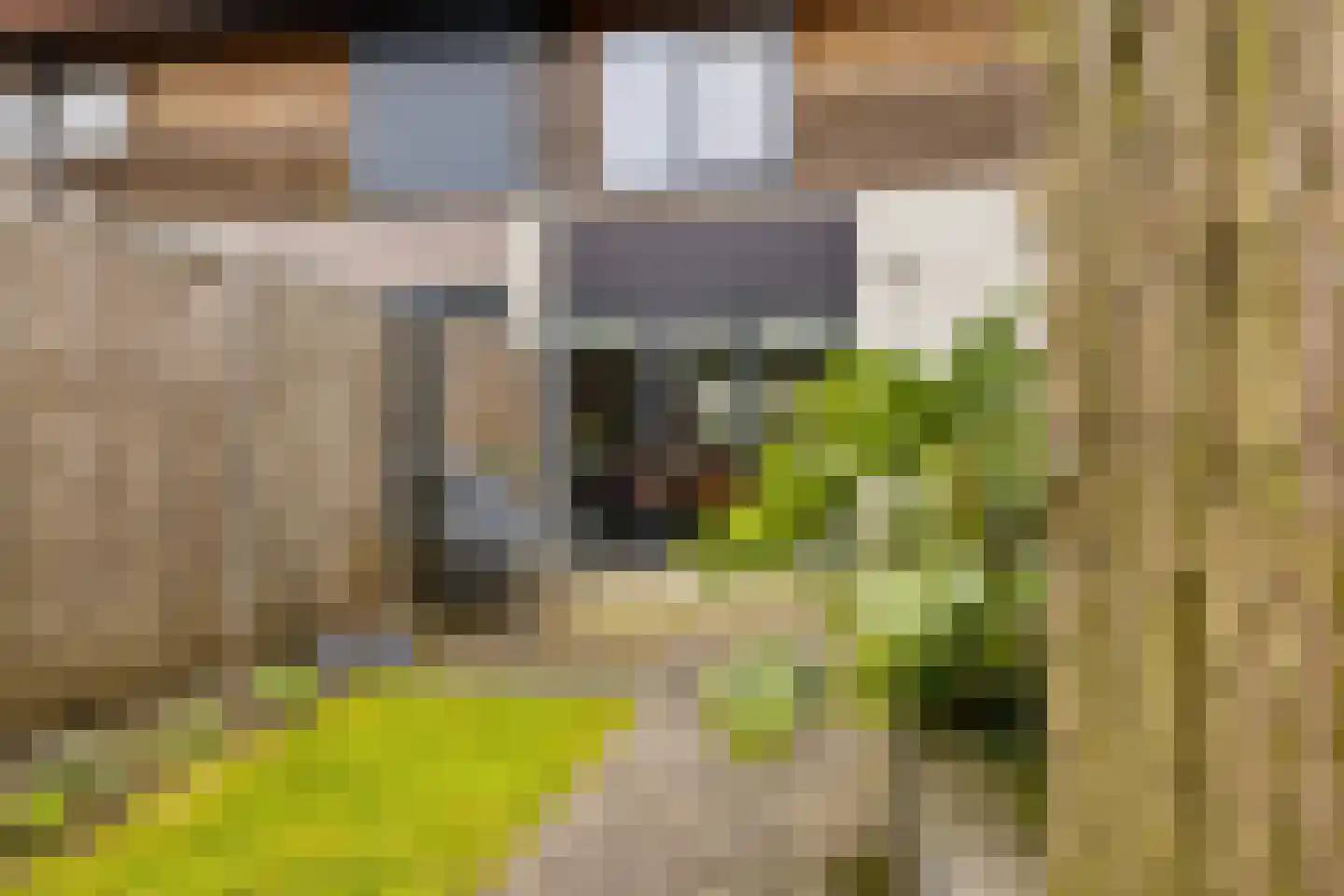 Hazelaar 16 Zeewolde thumbnail 41