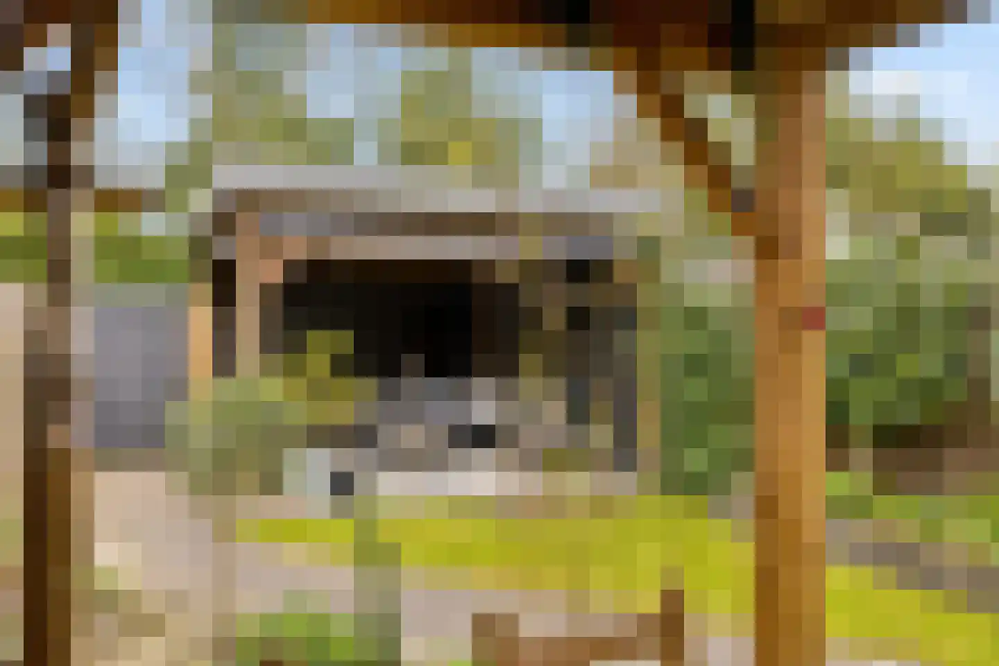 Hazelaar 16 Zeewolde thumbnail 42