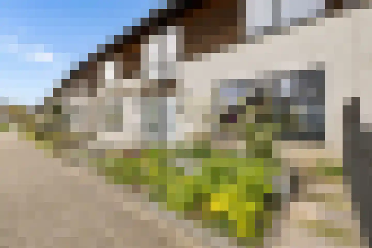 Hazelaar 16 Zeewolde thumbnail 44