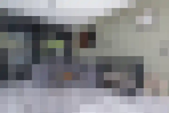 Hazelaar 18 Melissant thumbnail 10