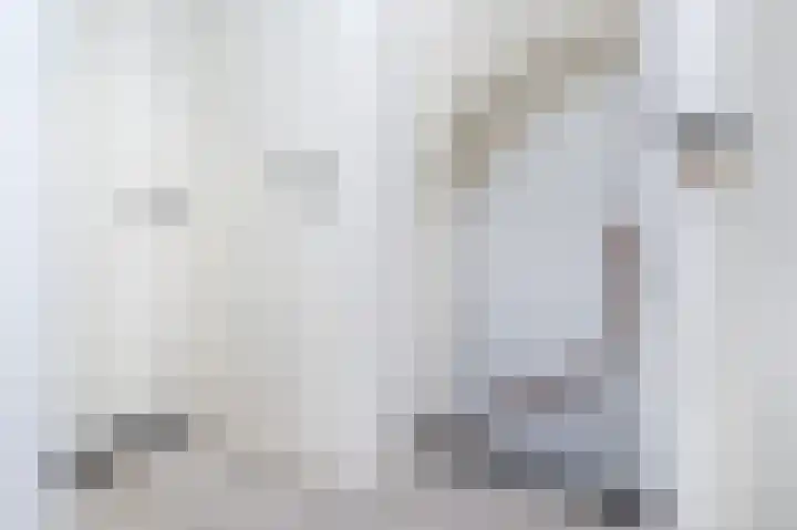 Hazelaar 18 Melissant thumbnail 14