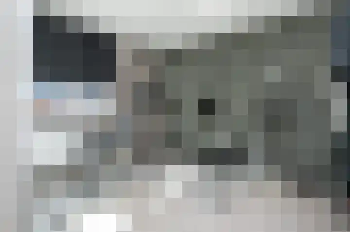 Hazelaar 18 Melissant thumbnail 17