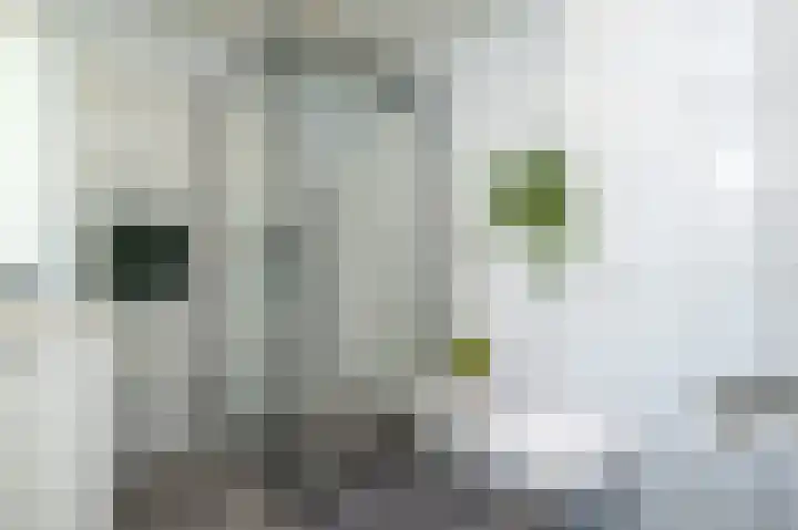 Hazelaar 18 Melissant thumbnail 18