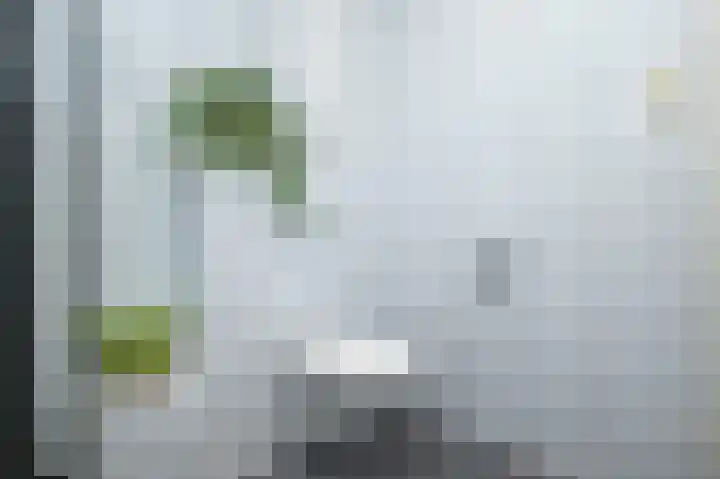 Hazelaar 18 Melissant thumbnail 20