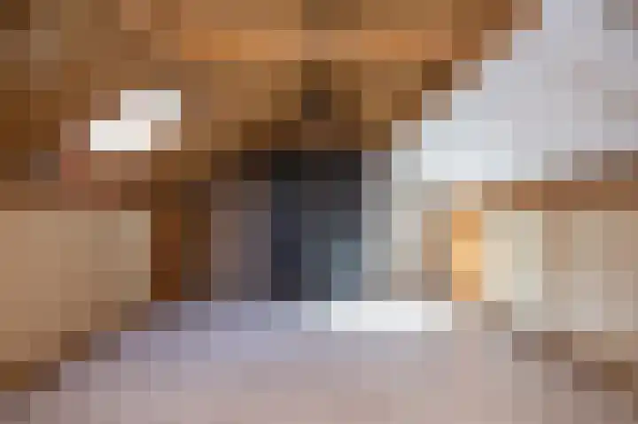 Hazelaar 18 Melissant thumbnail 21